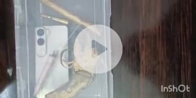 फतुहा: फतुहा पुलिस ने जर्नादनपुर गांव के पास से एक कुख्यात अपराधी को देसी कट्टा और गोली के साथ किया गिरफ्तार