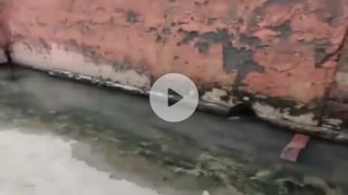 ਜਲੰਧਰ 1: ਜਲੰਧਰ ਦੇ ਕੋੜ ਸਦੀਕ ਵਿਖੇ ਦੋ ਢਾਈ ਮਹੀਨਿਆਂ ਤੋਂ ਬੰਦ ਪਏ ਸੀਵਰੇਜ ਦੀ ਸਮੱਸਿਆ ਤੋਂ ਇਲਾਕਾ ਨਿਵਾਸੀ ਪਰੇਸ਼ਾਨ #jansamasya