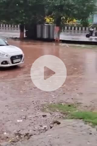 टीकमगढ़: टीकमगढ़ जिले में 24 घंटे में 1.6 इंच बारिश, कई कॉलोनियों में भरा पानी, अगले 4 दिनों तक भारी बारिश का अलर्ट