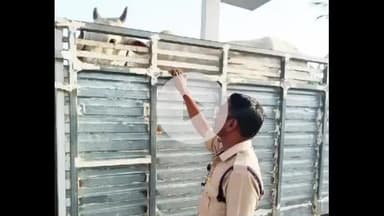 కొండమల్లేపల్లి: కొండూరు వద్ద హైదరాబాదుకు బొలెరో వాహనంలో అక్రమంగా తరలిస్తున్న నాలుగు గోవులను అడ్డుకున్న బీజేపీ నాయకులు, కేసు నమోదు