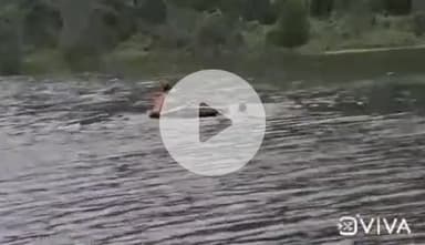 चांडिल: पालना डैम में डूबने से एक युवक की मौत