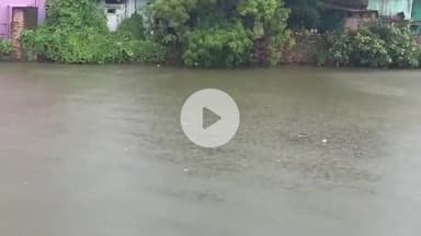 लाडपुरा: कोटा में राहगीरों ने देखा नहर में बहता शव, गोताखोरों ने शव को बाहर निकाला, पहचान नहीं हुई, पुलिस जांच में जुटी