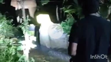 उदयपुर धरमजयगढ़: धरमजयगढ़ में घर के आंगन तक पहुंचा जंगली हाथी, घरवालों ने शोर मचाकर भगाया