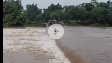 अकलेरा: उमरिया के पास नदी में भैंसों को पार कराते समय एक ग्वाला तेज धार में बहकर डूबा, रात्रि तक नहीं चला पता