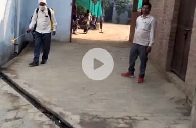 इचाक: प्रखंड में मच्छरदानी वितरण न होने से मच्छरों का प्रकोप बढ़ रहा है