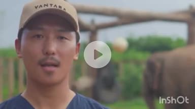 बड़गांव: उदयपुर से मिली राहत: बीमार हथिनी मोती को मिला नया जीवन, वनतारा में किया गया स्थायी शिफ्ट