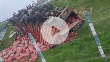 कादीपुर: दोस्तपुर में पूर्वांचल एक्सप्रेस वे पर प्याज लदी ट्रक पलटी, नींद की झपकी से हुआ हादसा; ड्राइवर-खलासी बाल-बाल बचे
