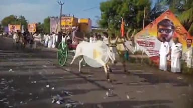 ஆவுடையார் கோவில்: பேரரசர் பெரும்பிடுகு முத்தரையர் சதய விழாவை முன்னிட்டு வட்டாட்சியர் அலுவலகம் அருகே மாட்டுவண்டி போட்டிகளை துவக்கி வைத்த அமைச்சர் மெய்யநாதன்