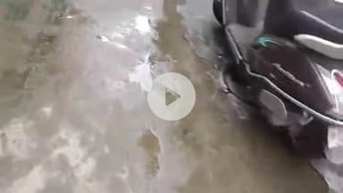 ਜਲੰਧਰ 1: ਸੰਗਤ ਸਿੰਘ ਨਗਰ ਵਿਖੇ ਬੰਦ ਪਏ ਸੀਵਰੇਜ ਦੀ ਸਮੱਸਿਆ ਤੋਂ ਪਰੇਸ਼ਾਨ ਇਲਾਕਾ ਨਿਵਾਸੀਆਂ ਨੇ ਕੀਤਾ ਰੋਸ਼ ਪ੍ਰਦਰਸ਼ਨ #jansamasya