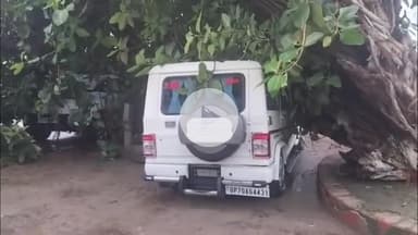 मड़ियाहू: मडियाहू में बरगद का पेड़ गिरा, क्षेत्राधिकारी की गाड़ी हुई क्षतिग्रस्त, बड़ा हादसा टला