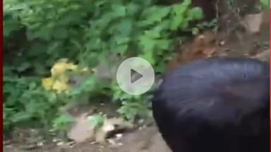 हुज़ूर: बेलहा गांव में घर के अंदर गैस सिलेंडर में आग, दमकल ने पाया काबू, एक युवक झुलसा