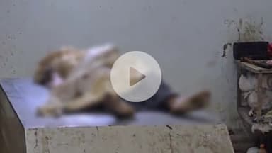 बेगूसराय: बेगूसराय में जहर खाने से घायल महिला की इलाज के दौरान निजी अस्पताल में मौत, परिजनों में हड़कंप