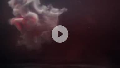 🚩भोलेनाथ सेवा समिति हनुमानगढ़ द्वारा आयोजित
वहान रैली निकाली गई आजाद क्लब जाखड़ावाली पुनम पारीक #हनुमानगढ़ #राजस्थान