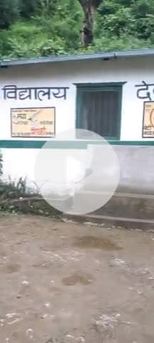 ग्राम सभा देवपुरी गैरसैण चमोली मे मतदान 5बजे शाम को शांतिपूर्ण हुआ सम्पन्न कुल वोट 516