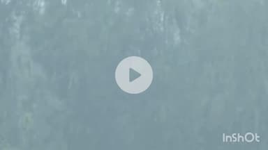 गोरखपुर: गोरखपुर में सोमवार से हो रही झमाझम बारिश, जिला आपदा विशेषज्ञ ने कहा- पूरे पूर्वांचल को यलो जोन में रखा गया है