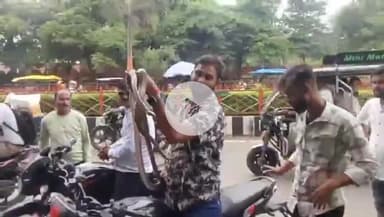 टीकमगढ़: टीकमगढ़: दो गांवों में निकले धामन सांप, सर्प मित्र ने किया रेस्क्यू