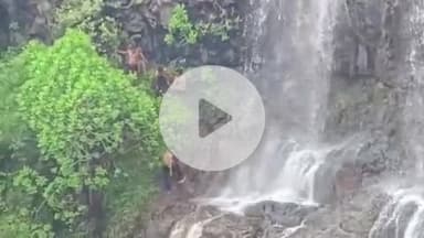 प्रभात पट्टन: दुर्घटना स्थलों पर रोक के बाद भी गडरा झरने पर रील बनाते दिखे लोग