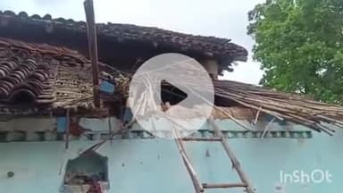 ब्यौहारी: महादेवा और खारी गांव में हाथी का तांडव, कई घरों में तोड़-फोड़, लोगों में डर