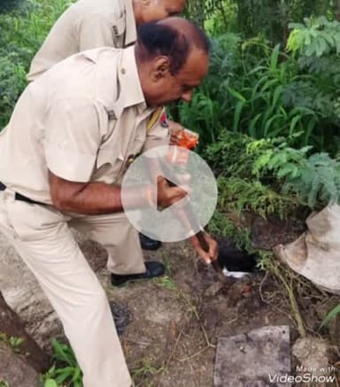 भरतपुर: आबकारी निरोधक टीम ने की कार्रवाई, 8000 लीटर वाश और 7 भट्टी को किया नष्ट