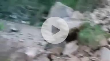 राजगढ़ी: स्यानाचट्टी के पास भूस्खलन के कारण यमुनोत्री हाईवे हुआ बाधित