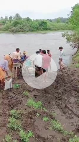 # बैतूल विकासखंड चिचोली गांव बोररायत नदी डिलीवरी पेशेंट को पर करवाते हुए, दिल दहला देने वाला वीडियो