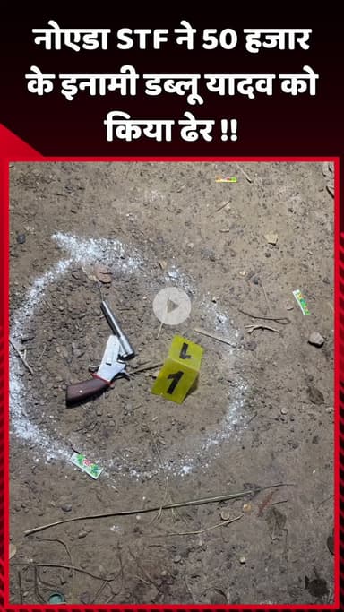 दादरी: नोएडा STF ने ₹50 हजार के इनामी डब्लू यादव को किया ढेर
