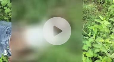 लंभुआ: कंघईपुर के पास बाइक और स्कॉर्पियो के बीच हुई टक्कर, लखनऊ में इलाज के दौरान युवक की हुई मौत