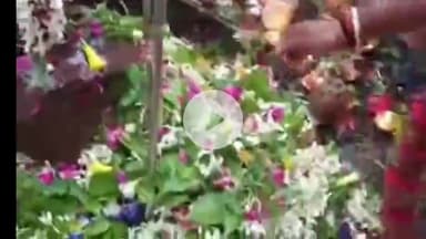 लंभुआ: सावन के तीसरे सोमवार को बाबा जनवारी नाथ धाम में किया जलाभिषेक, मां जगदंबा के भी किए दर्शन