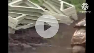 हुज़ूर: मानसून स्कूटर रैली में भोपाल के राइडर्स का जलवा, नासिक के मुश्किल ट्रैक पर लहराया परचम