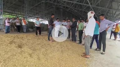 बीना: घरों में पानी भरने से लाखों का अनाज बर्बाद, कृषि मंडी में अनाज सुखाने पहुंचे किसान, किसान नेता ने दी चेतावनी