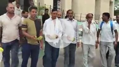 चूरू: घंटेल गांव में जंगली सूअरों ने किसानों की फसलें नष्ट की, किसान कलेक्ट्रेट कार्यालय पहुंचे और प्रशासन से मदद मांगी