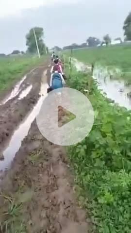 बाह: पलोखरा गांव के कच्चे रास्ते की दुर्दशा का वीडियो वायरल, ग्रामीणों ने जताई नाराजगी