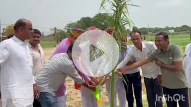 आहोर: नरसाना के दूधेश्वर महादेव मंदिर में आयोजित हुआ पौधारोपण कार्यक्रम