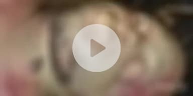 फतुहा: नदी थाना क्षेत्र में सिक्स लेन के पास गंगा किनारे से मिले अज्ञात शव की हुई पहचान