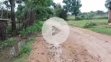 पांकी: पांकी प्रखंड के कोनवाई गांव में सड़क की हालत खस्ताहाल