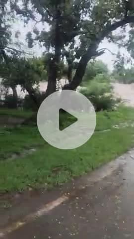 सुहाया भौंरा# नदी #में अति से ज्यादा उपान आया अगले दो तीन दिन तक रास्ता बंद रहेगा