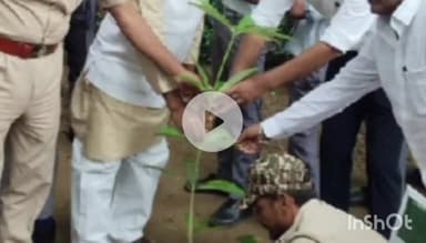 जमुई: चिल्ड्रेन पार्क में 76वां वन महोत्सव समारोह पूर्वक संपन्न, पर्यावरण संरक्षण का दिया गया संदेश