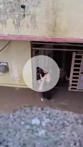 #शिव का प्रकोप #चंद्रशेखर धाकड़