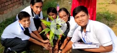 इचाक: पर्यावरण संरक्षण के लिए स्कूल परिसर में हुआ पौधरोपण