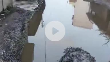 डंडारी: बिशनपुर ग्राम वार्ड संख्या तीन में पिच सड़क की स्थिति हुई जर्जर स्थानीय लोगों को हो रही है परेशानी #jansamasya