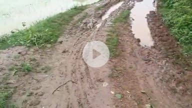 लोकप्रिय विधायक श्रीमती सविता महतो के द्वारा Tilla टोला Amrabera में बहुत तेजी से विकास हो रहा है उनके द्वारा आज का ताजा