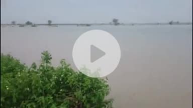 दीगोद: सुल्तानपुर इलाके के किशोरपुरा गांव में भारी बरसात से खेत जलमग्न, सोयाबीन व धान की फसल नष्ट होने की कगार पर