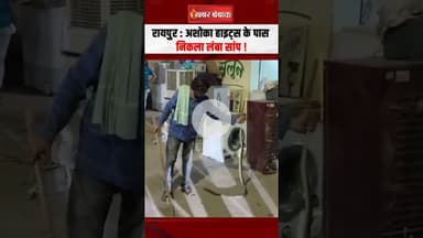 Raipur News: Ashoka Heights के पास निकला लंबा सांप #snakevideo #shorts