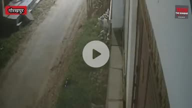 Gorakhpur News - शहर में दिखा तेंदुआ महिला पर हमला,सुनिये महिला क्या बोली ?। Gorakhpur