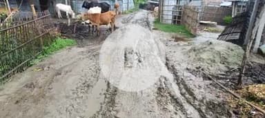 सुखासन पंचायत में काफी बारिश हुआ आज बारिश की कारण से रोड का स्थिति #ग्वालपाड़ा#प्रखंड#मधेपुरा#बिहार#पब्लिक#indan#Sarkar