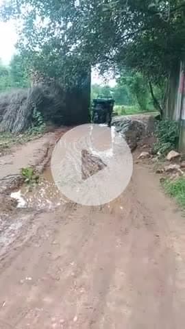 Gram Panchayat barauli ke siras wale raste per Kitna Bura HAL ho raha hai jo ki sarpanch ko Kai bar avgat kara chuke hi