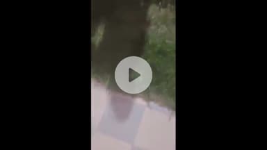 कोल: मडराक के चेयरमैन ने नशे में महिला के साथ की अभद्रता, वीडियो हुआ वायरल