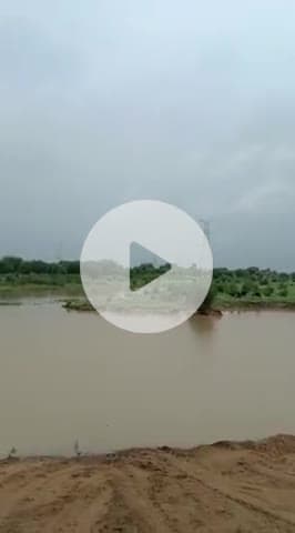 मोरल नदी का बंदा मैं 20 फुट पानी बारिश रुकने का नाम ही ले रही है ज़ैलमपुरा अन्य कट बढ़ चुका है नंदी