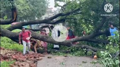 मुरहू: मुरहू-सर्वदा मुख्य सड़क पर पेड़ गिरने से यातायात ठप