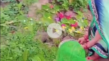 लंभुआ: सुलतानपुर जिले के भदैया में नागपंचमी पर्व का त्यौहार धूमधाम से मनाया गया, महिलाओं ने विधि-विधान से की नागदेवता की पूजा